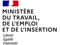 ministere-du-travail-de-l-emploi-et-de-l-insertion-logo
